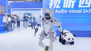 精品国产精品久久一区免费式